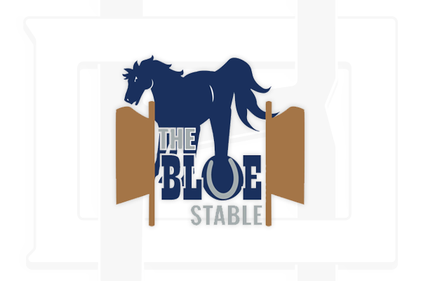 The Blue Stable logo on top of a branded background for digital boardman